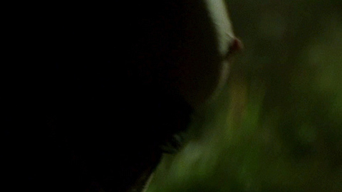 Pic: Virginia Madsen in The Number 23 (2007)