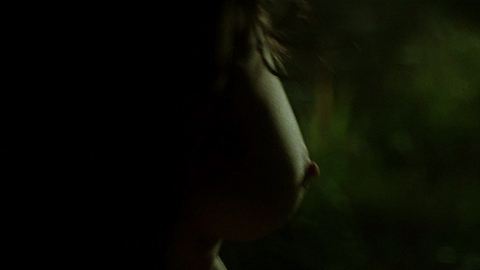 Pic: Virginia Madsen in The Number 23 (2007)