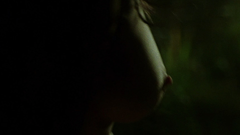 Pic: Virginia Madsen in The Number 23