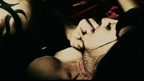 Pic: Virginia Madsen in The Number 23