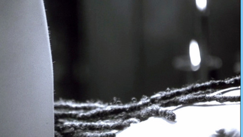 Pic: Ann Magnuson in The Caveman's Valentine