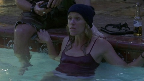 Pic: Frances McDormand in Laurel Canyon
