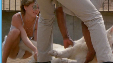 Pic: Kristy McNichol in White Dog