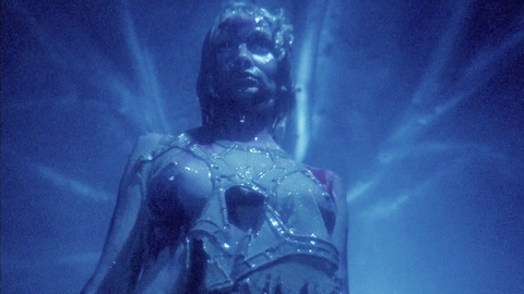 Pic: Taaffe O'Connell in Galaxy of Terror