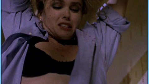 Pic: Dina Meyer in Stranger Than Fiction