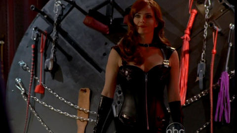 Pic: Dina Meyer in Castle