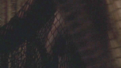 Pic: Helen Mirren in Excalibur (1981)