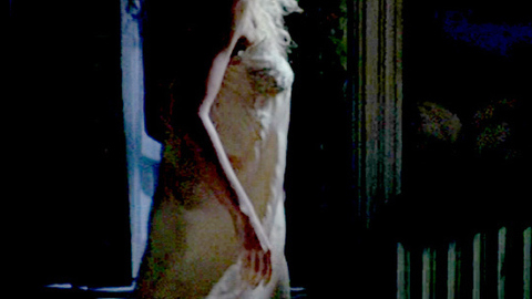 Pic: Demi Moore in The Butcher's Wife