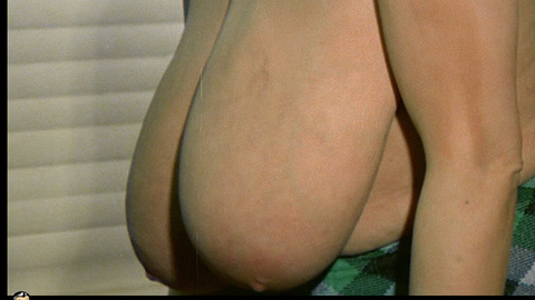 Pic: Chesty Morgan in Double Agent 73