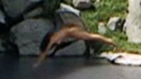 Pic: Julie Newmar in Mackenna's Gold