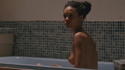 Pic: Thandiwe Newton in Half of a Yellow Sun