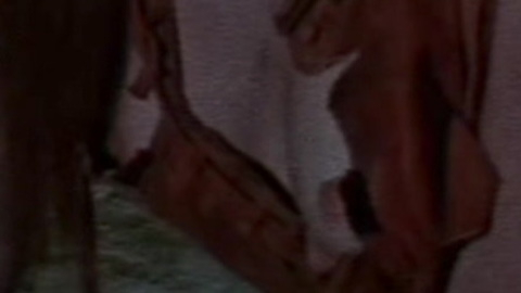 Pic: Brigitte Nielsen in Red Sonja