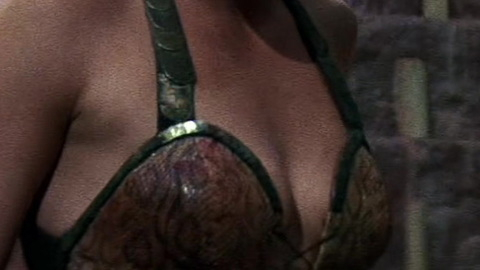 Pic: Brigitte Nielsen in Red Sonja