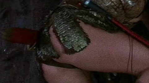 Pic: Brigitte Nielsen in Red Sonja