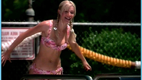 Pic: Gwyneth Paltrow in Shallow Hal
