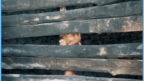 Pic: Irene Papas in The Trojan Women
