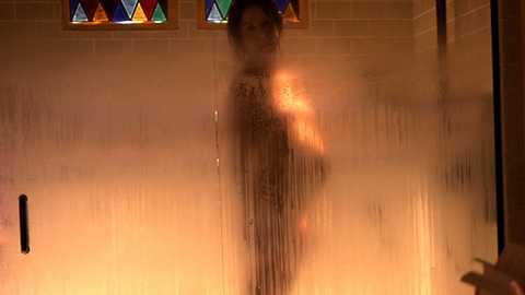 Pic: Mary-Louise Parker in Weeds