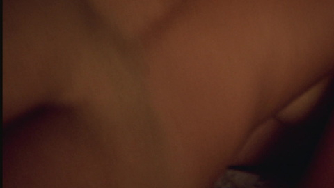Pic: Nicole Ari Parker in The Incredibly True Adventure of Two Girls in Love