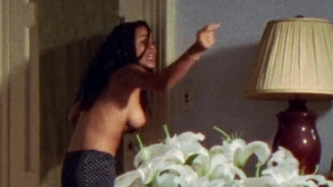Pic: Nicole Ari Parker in The Incredibly True Adventure of Two Girls in Love