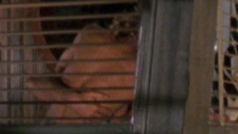 Pic: Sarah Jessica Parker in Striking Distance