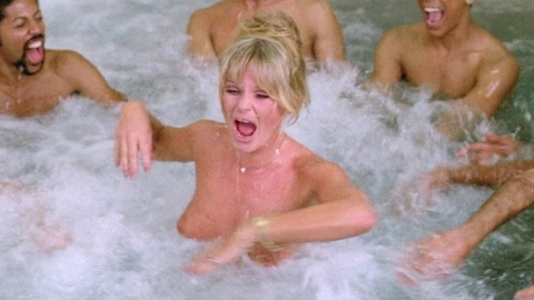 Pic: Valerie Perrine in Can't Stop the Music