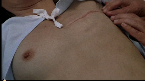 Pic: Michelle Pfeiffer in A Thousand Acres