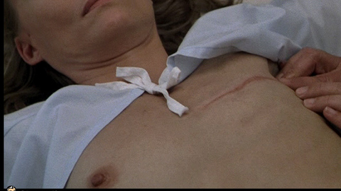 Pic: Michelle Pfeiffer in A Thousand Acres (1997)