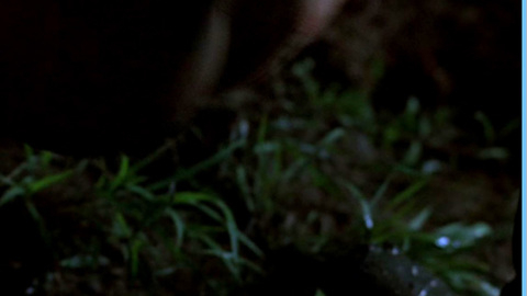 Pic: Martha Plimpton in Eye of God