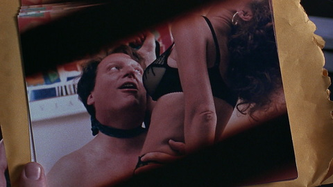 Pic: Annie Potts in Who's Harry Crumb?