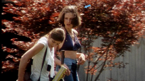 Pic: Paula Prentiss in The Stepford Wives