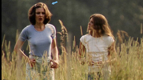 Pic: Paula Prentiss in The Stepford Wives