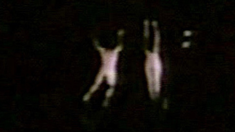 Pic: Victoria Principal in The Naked Ape