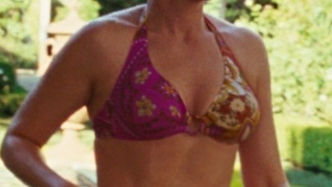 Pic: Julia Roberts in Charlie Wilson's War