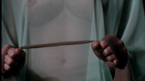 Pic: Katharine Ross in The Stepford Wives