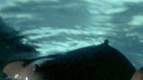 Pic: Theresa Russell in Black Widow