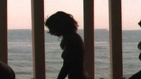 Pic: Tracy Scoggins in Alien Intruder