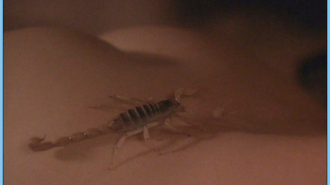 Pic: Mia Sara in Black Day, Blue Night