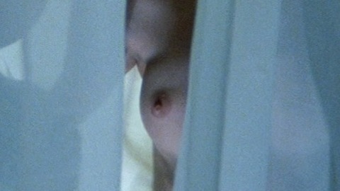 Pic: Susan Sarandon in The Hunger