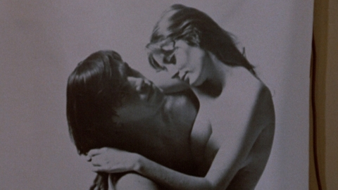 Pic: Susan Sarandon in Joe