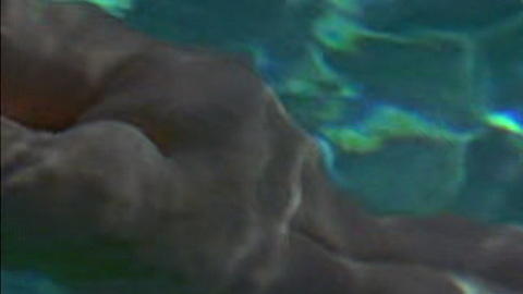 Pic: Susan Sarandon in Twilight