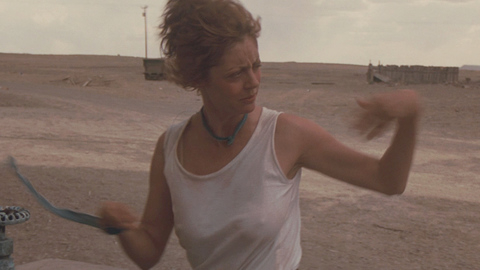 Pic: Susan Sarandon in Thelma & Louise