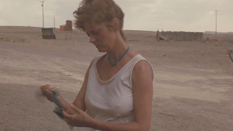 Pic: Susan Sarandon in Thelma & Louise