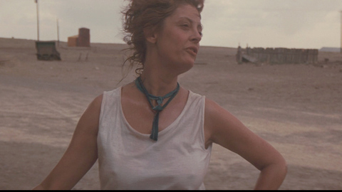 Pic: Susan Sarandon in Thelma & Louise