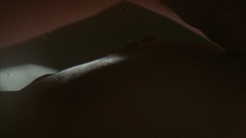 Pic: Greta Scacchi in Shattered