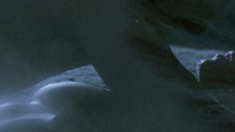 Pic: Greta Scacchi in Shattered