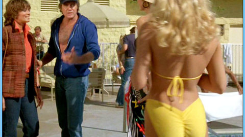 Pic: Heather Thomas in The Fall Guy