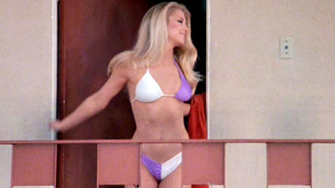 Pic: Heather Thomas in The Fall Guy