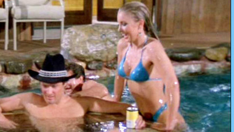 Pic: Heather Thomas in The Fall Guy