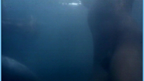 Pic: Stacey Travis in Dracula Rising