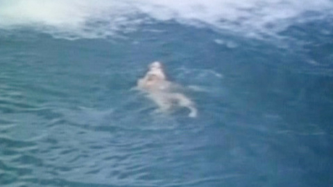 Pic: Shannon Tweed in The Firing Line